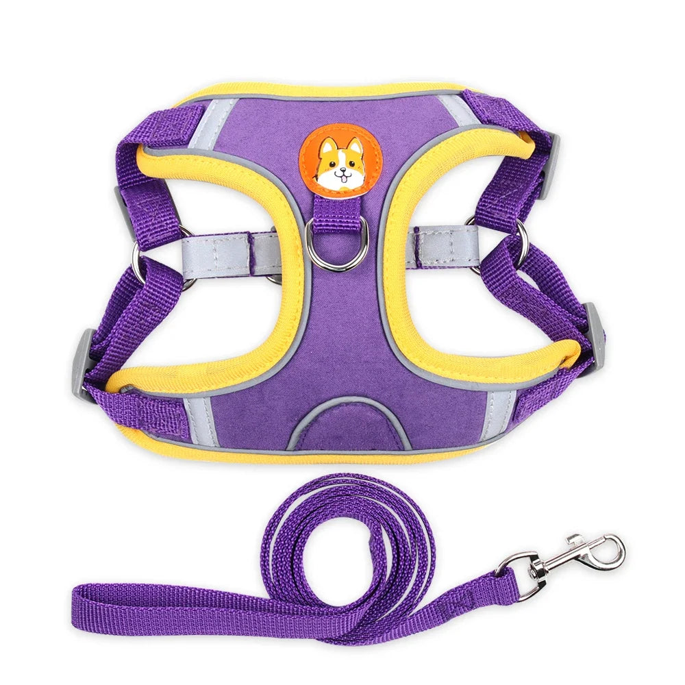 Adjustable Dog Harness and Leash Set – Reflective Vest for Small & Medium Dogs, Outdoor Puppy Chest Strap for Walking