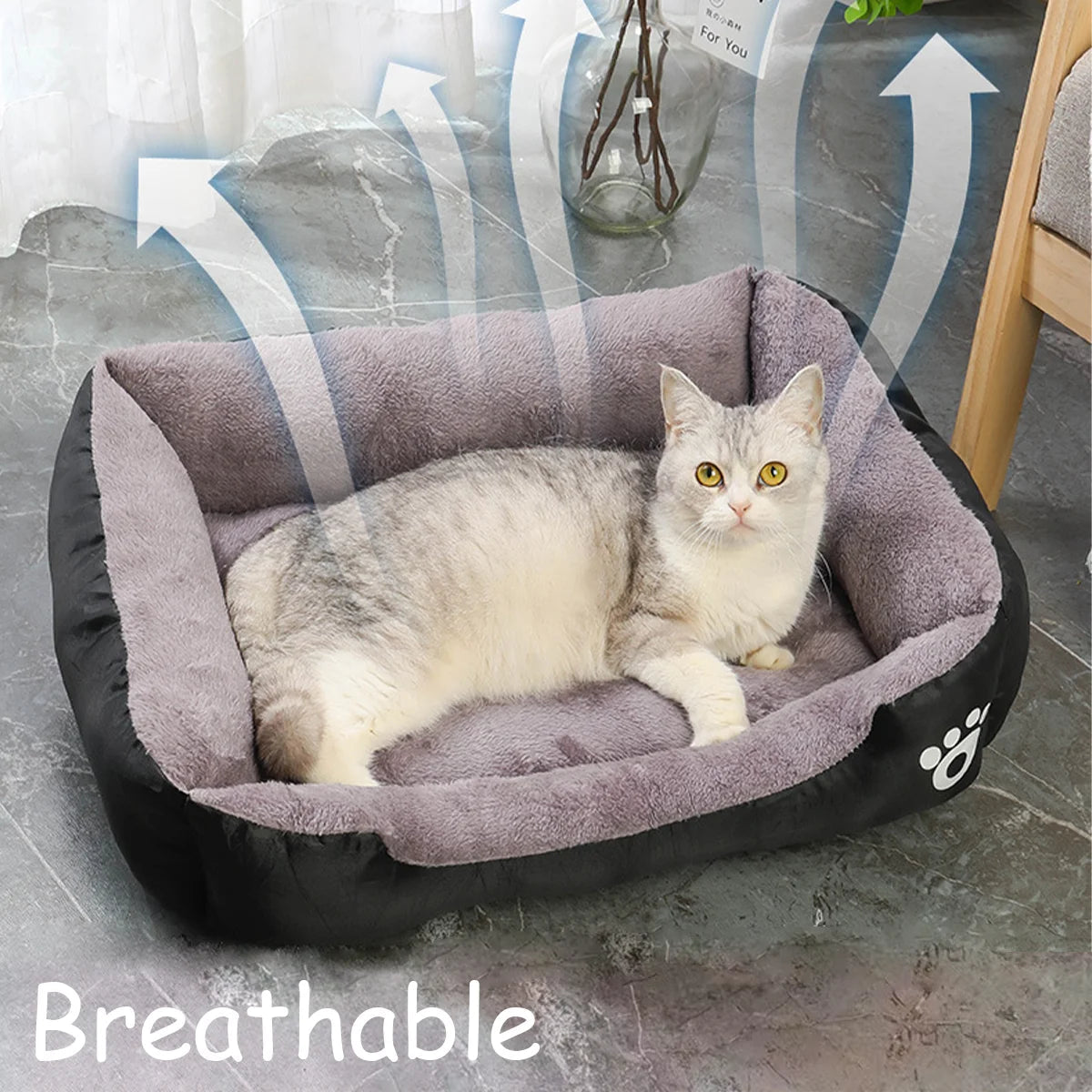 Color Square Winter Pet Bed House PetWhiz
