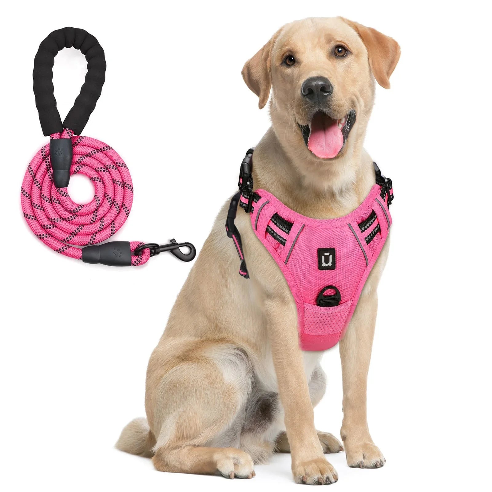 Escape Proof No Pull Dog Harness and Leash Set – Reflective, Adjustable, Soft Padded Vest with 5ft Leash for Small to Large Dogs