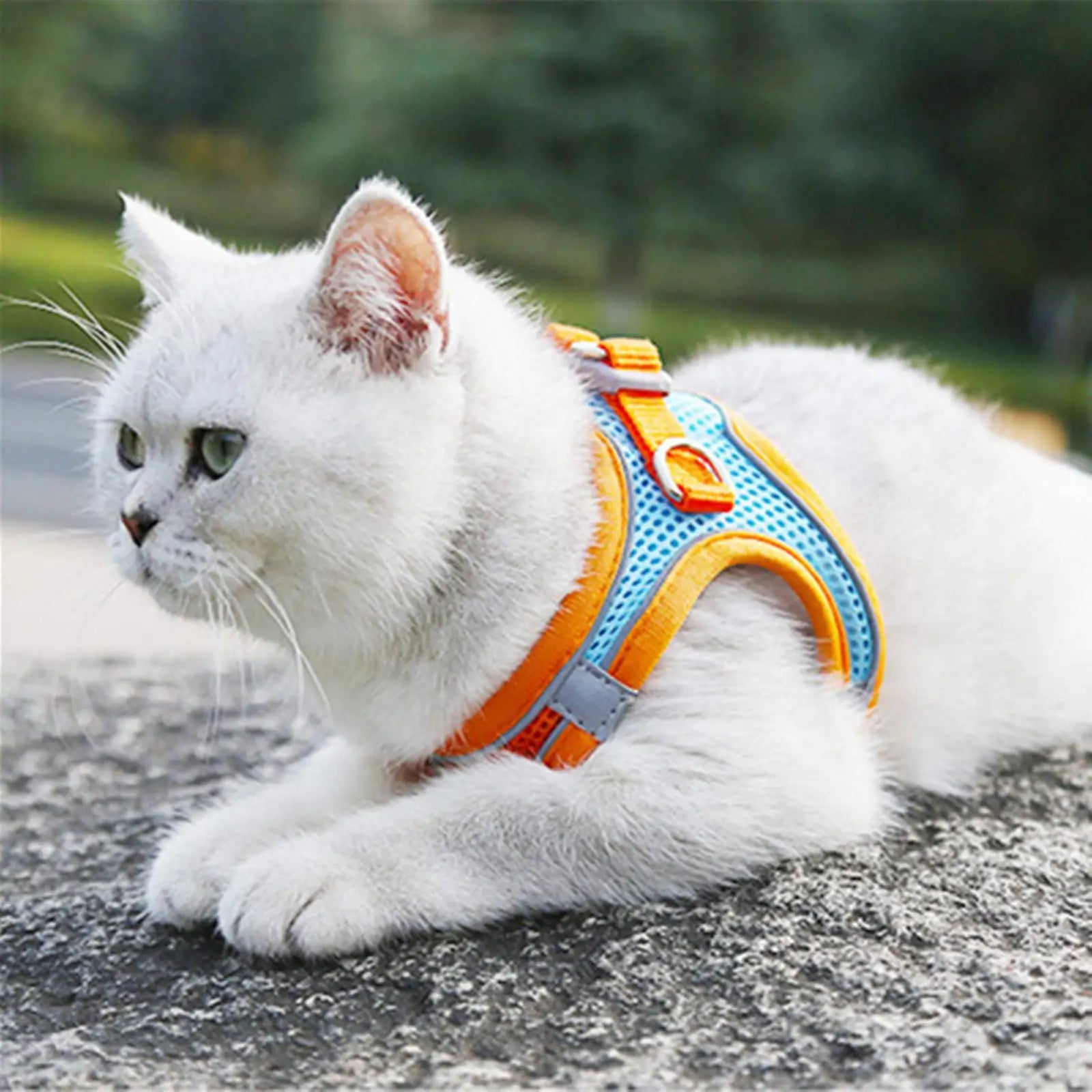 Dog Harness Reflective Pet Harnesses And Leashes Set Adjustable Pet Harness for Small Dogs Cats Pug Chihuahua Dog Accessories