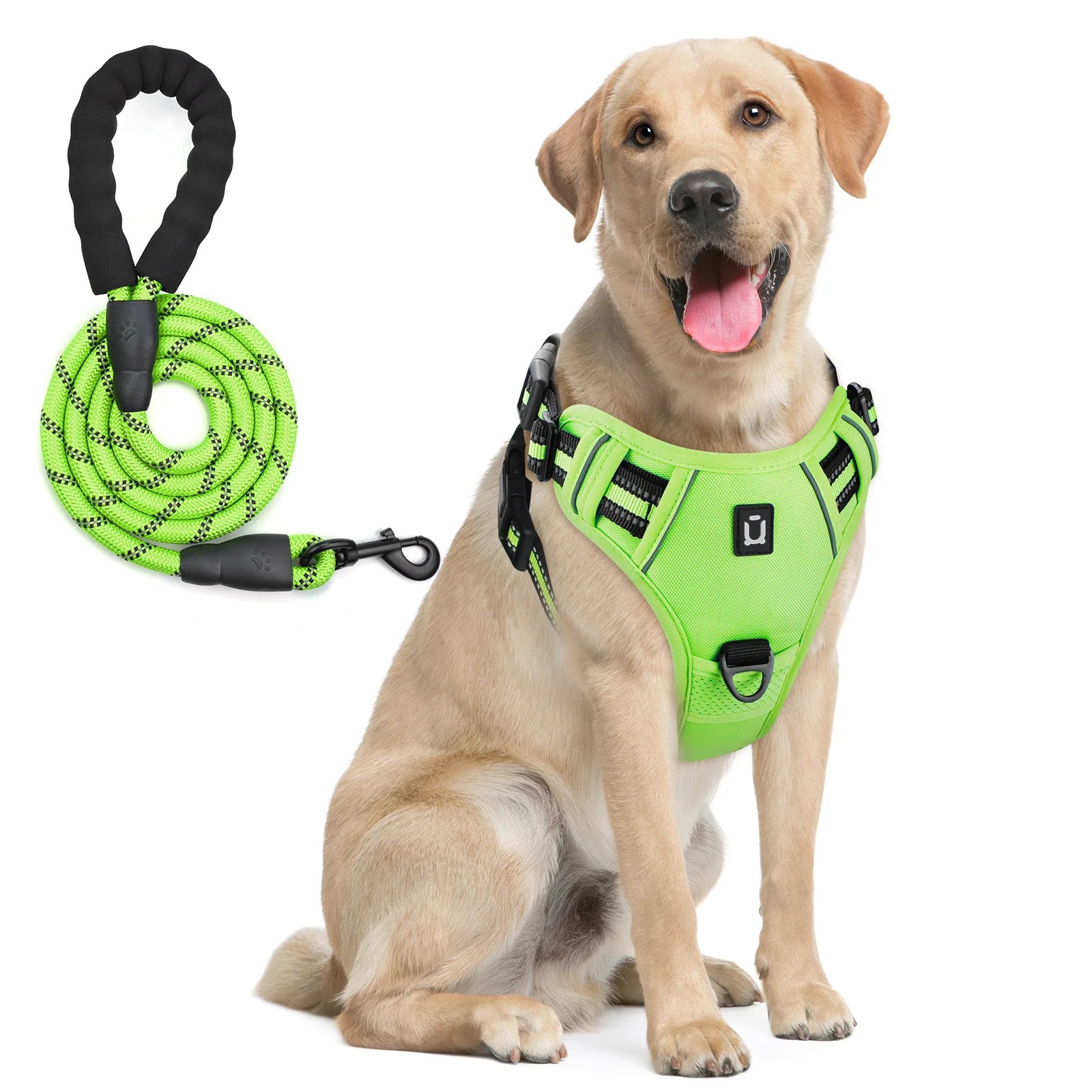Escape Proof No Pull Dog Harness and Leash Set – Reflective, Adjustable, Soft Padded Vest with 5ft Leash for Small to Large Dogs