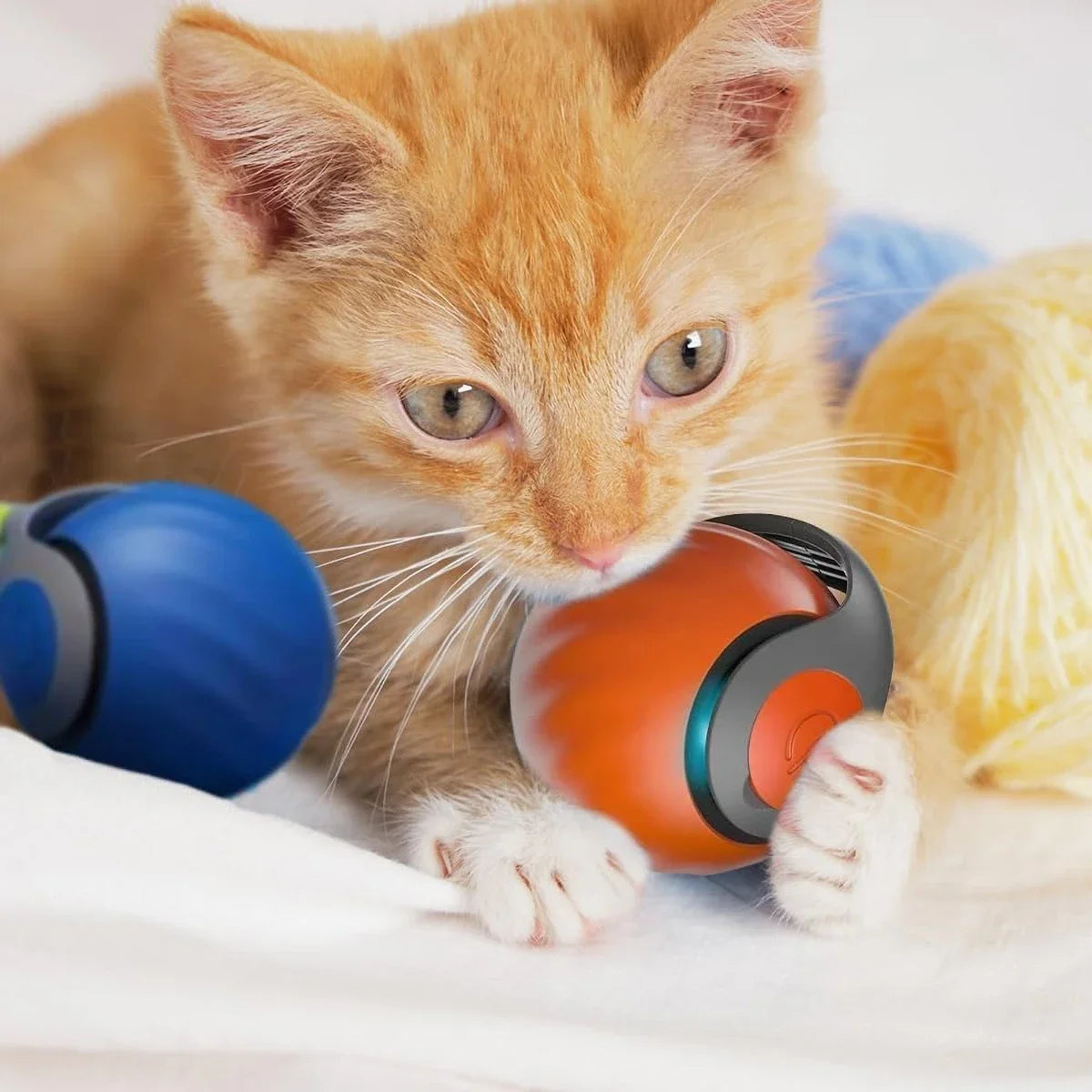 Interactive dog ball with motion sensor PetWhiz