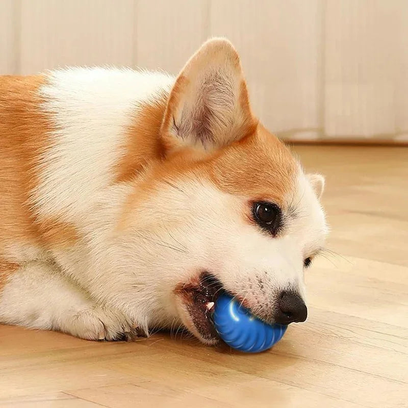 USB Rechargeable Smart Pet Ball – Automatic Interactive Dog & Cat Toy