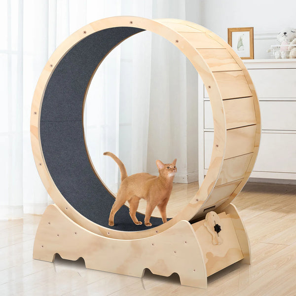 Product placeholder