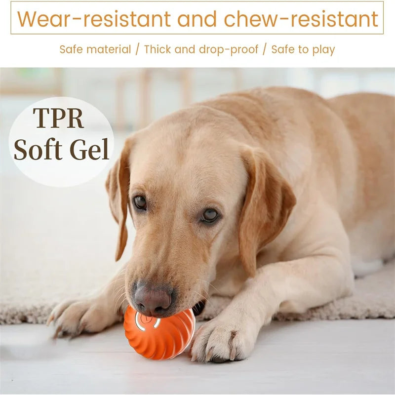 USB Rechargeable Smart Pet Ball – Automatic Interactive Dog & Cat Toy