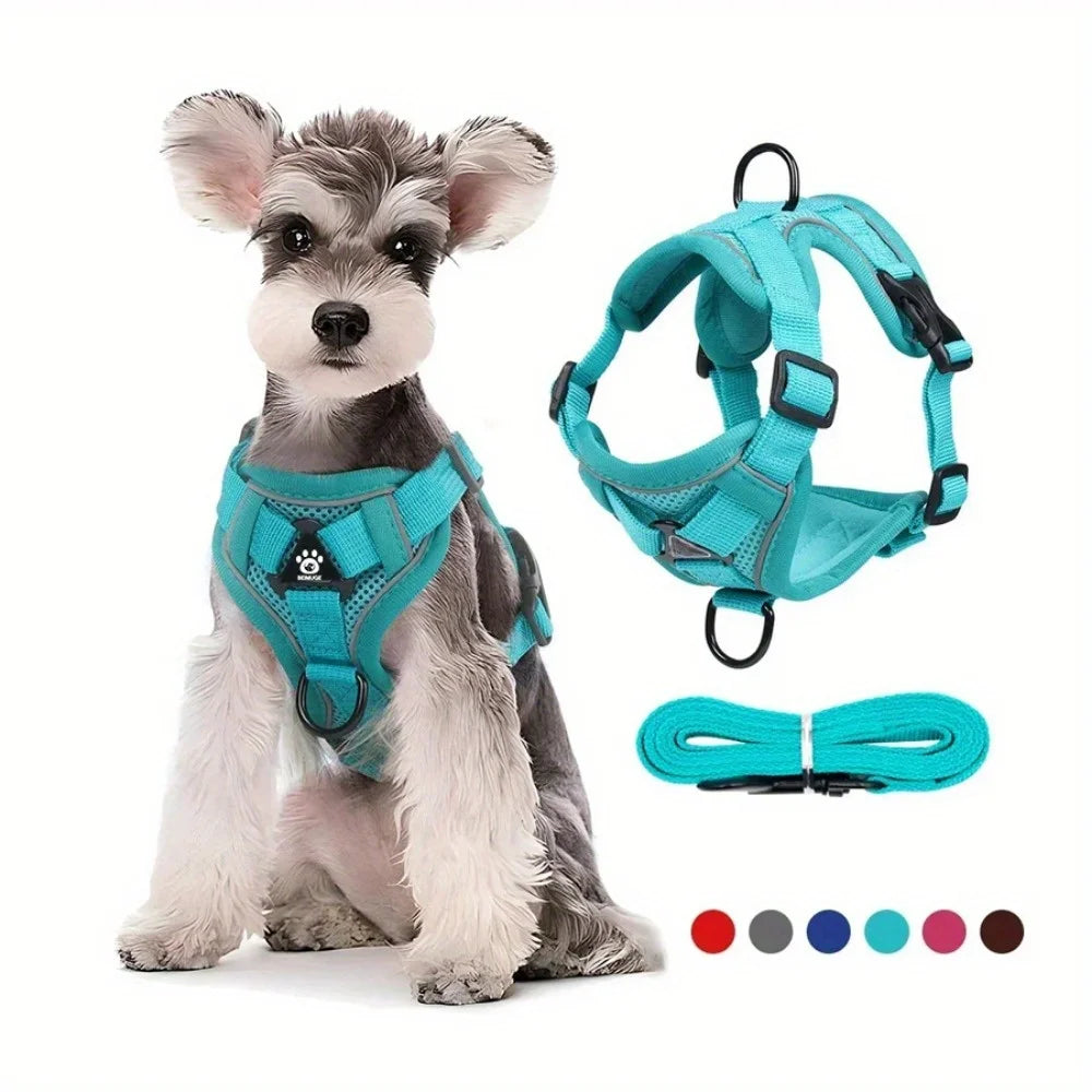 No Pull Dog & Cat Harness and Leash Set – Adjustable Reflective Vest for Small Pets, Secure Chest Strap for Walking & Training