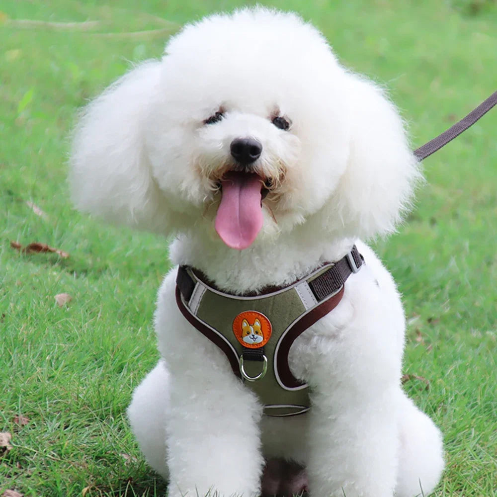 Adjustable Dog Harness and Leash Set – Reflective Vest for Small & Medium Dogs, Outdoor Puppy Chest Strap for Walking