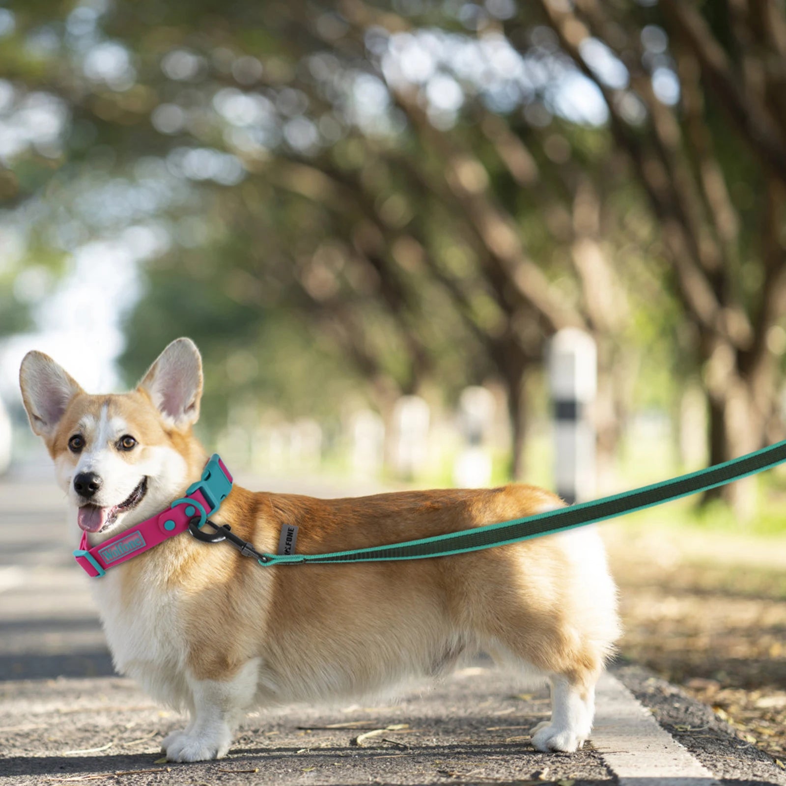 Latex Silk Long Dog Leash PetWhiz