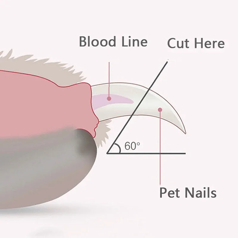 LED Pet Nail Clippers for Dogs & Cats – Professional Grooming Scissors