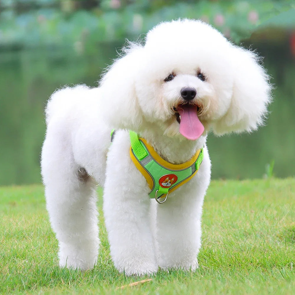 Adjustable Dog Harness and Leash Set – Reflective Vest for Small & Medium Dogs, Outdoor Puppy Chest Strap for Walking