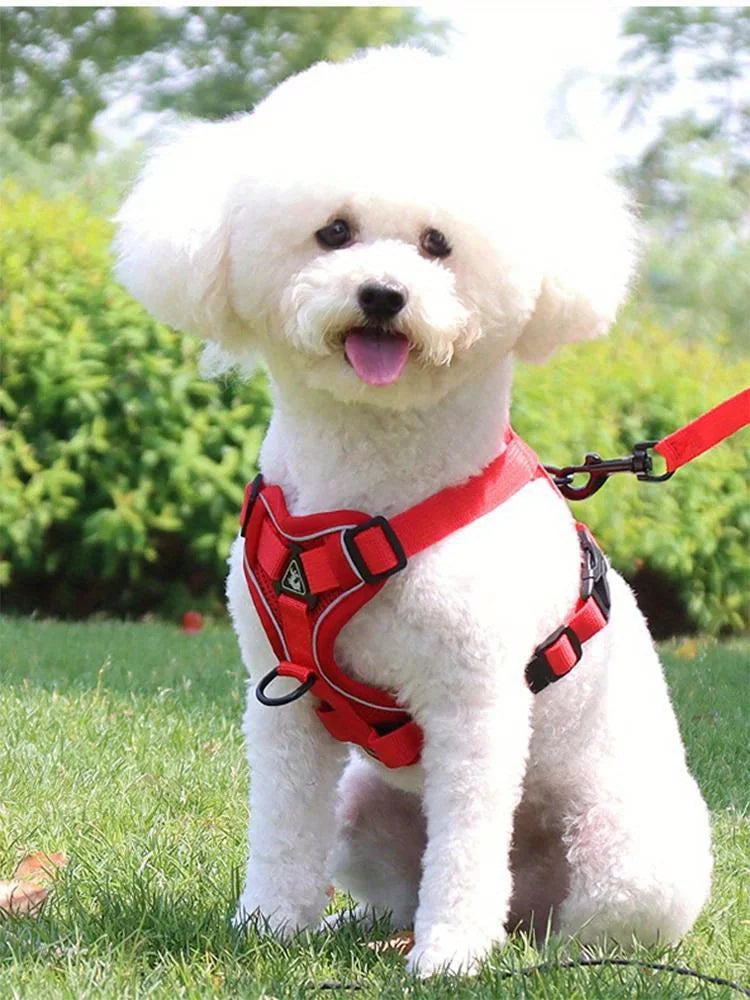 No Pull Dog & Cat Harness and Leash Set – Adjustable Reflective Vest for Small Pets, Secure Chest Strap for Walking & Training