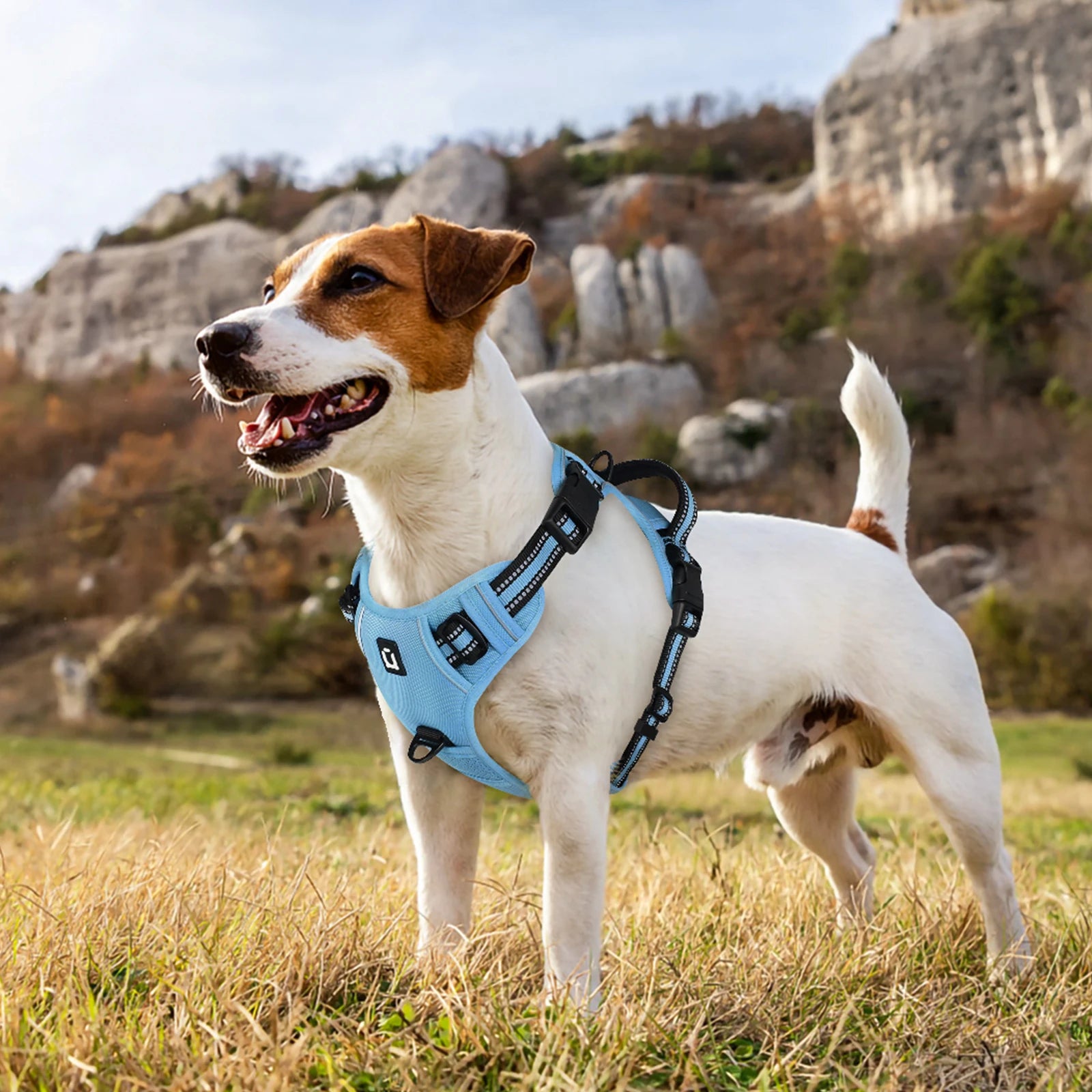 Escape Proof No Pull Dog Harness and Leash Set – Reflective, Adjustable, Soft Padded Vest with 5ft Leash for Small to Large Dogs