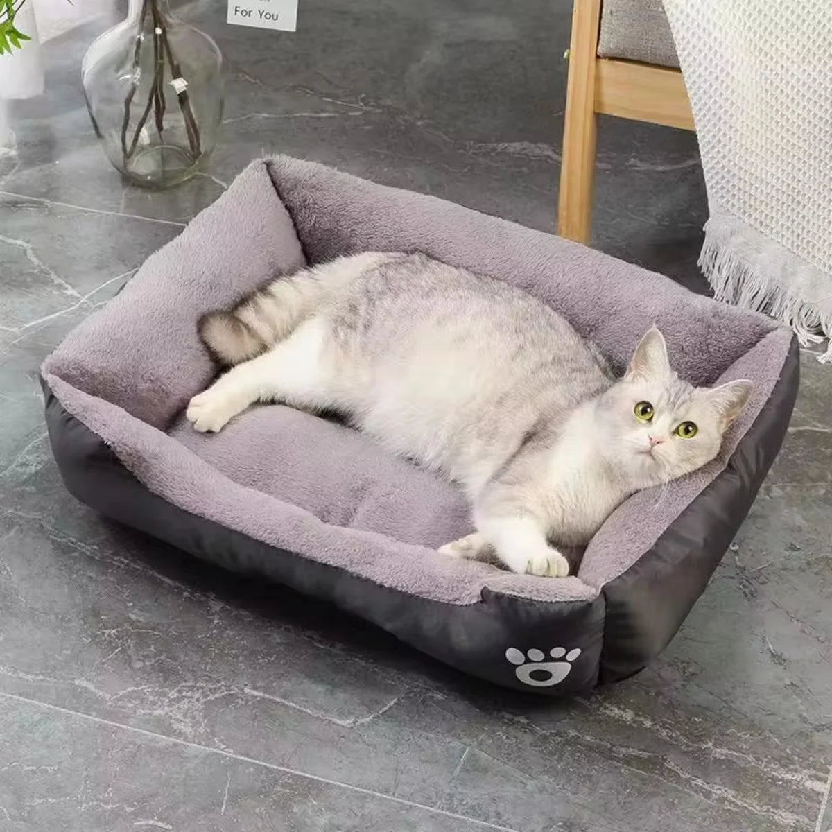 Color Square Winter Pet Bed House PetWhiz
