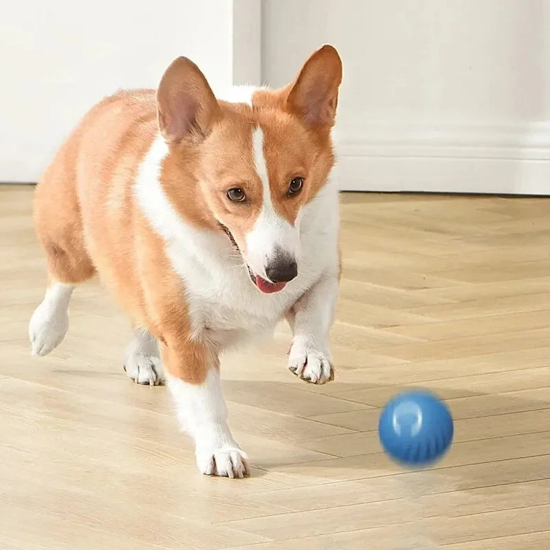 USB Rechargeable Smart Pet Ball – Automatic Interactive Dog & Cat Toy