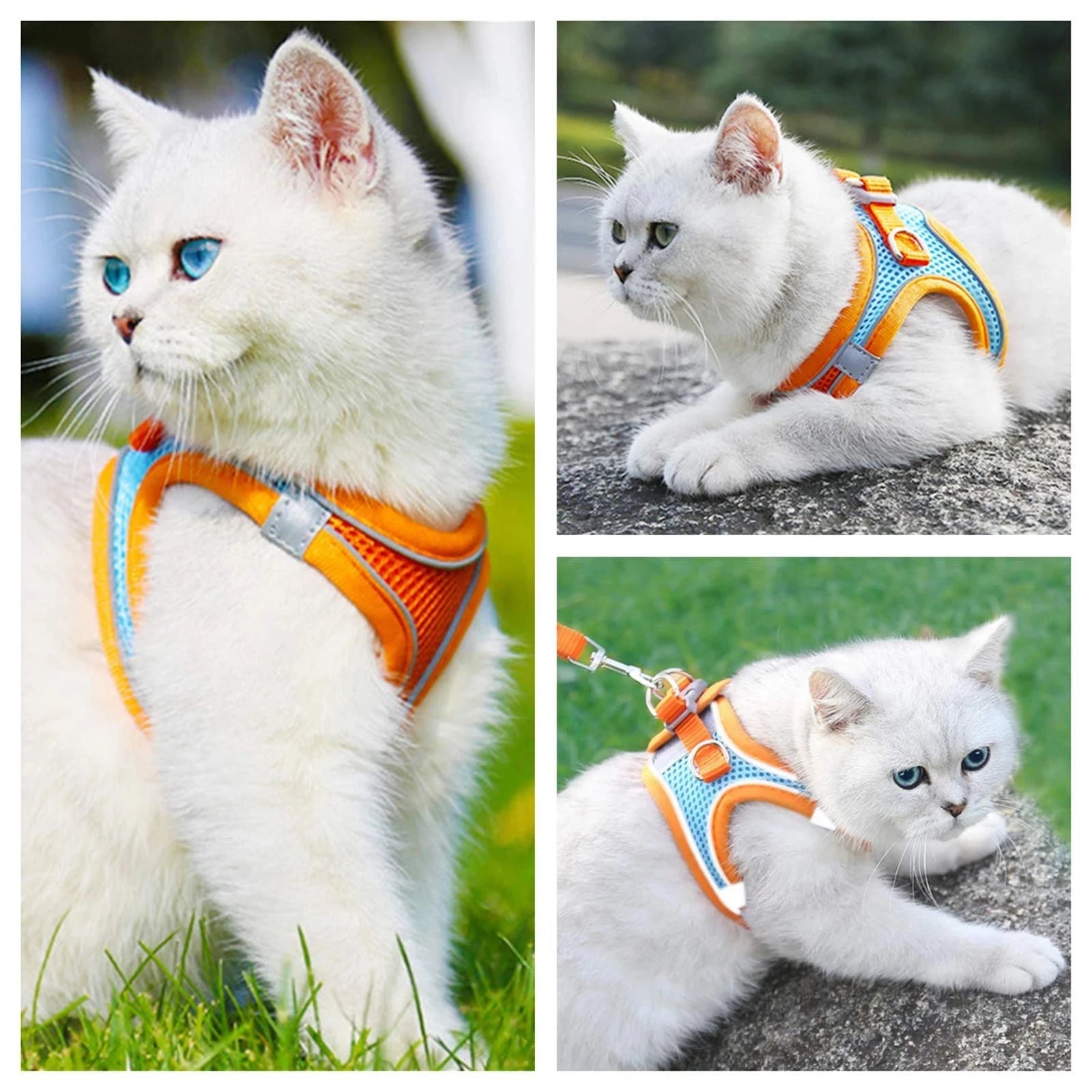 Dog Harness Reflective Pet Harnesses And Leashes Set Adjustable Pet Harness for Small Dogs Cats Pug Chihuahua Dog Accessories