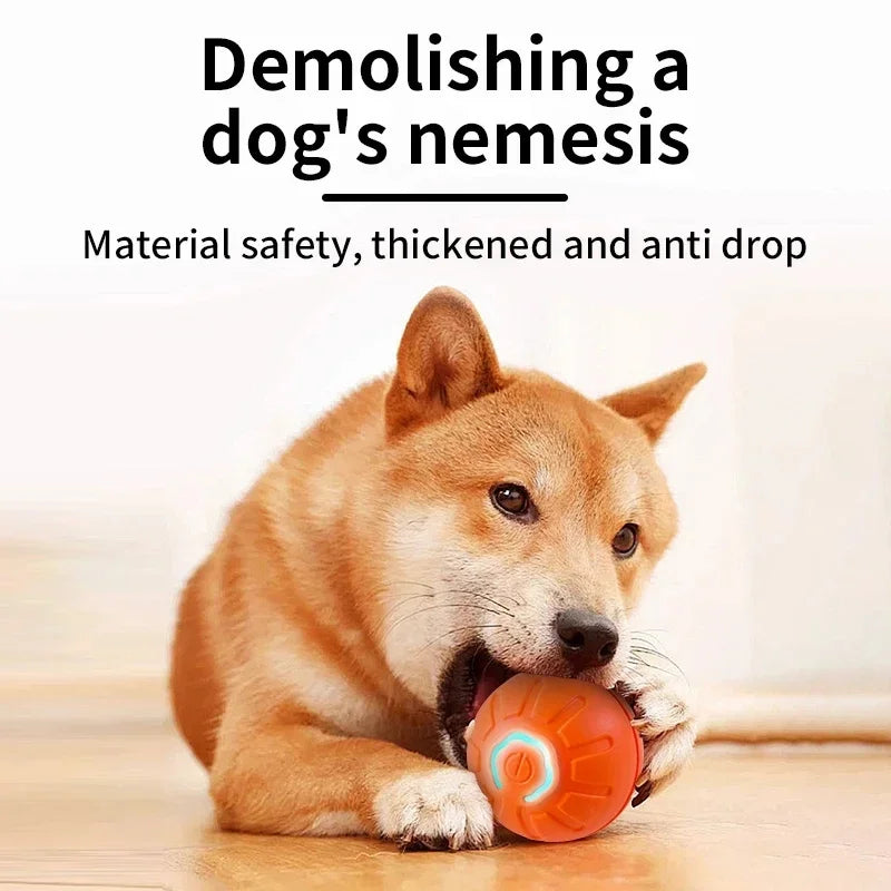 USB Rechargeable Smart Pet Ball – Automatic Interactive Dog & Cat Toy