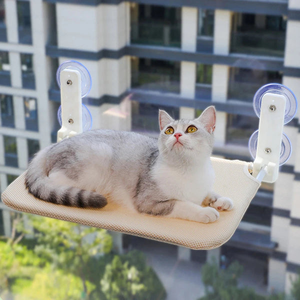Product placeholder