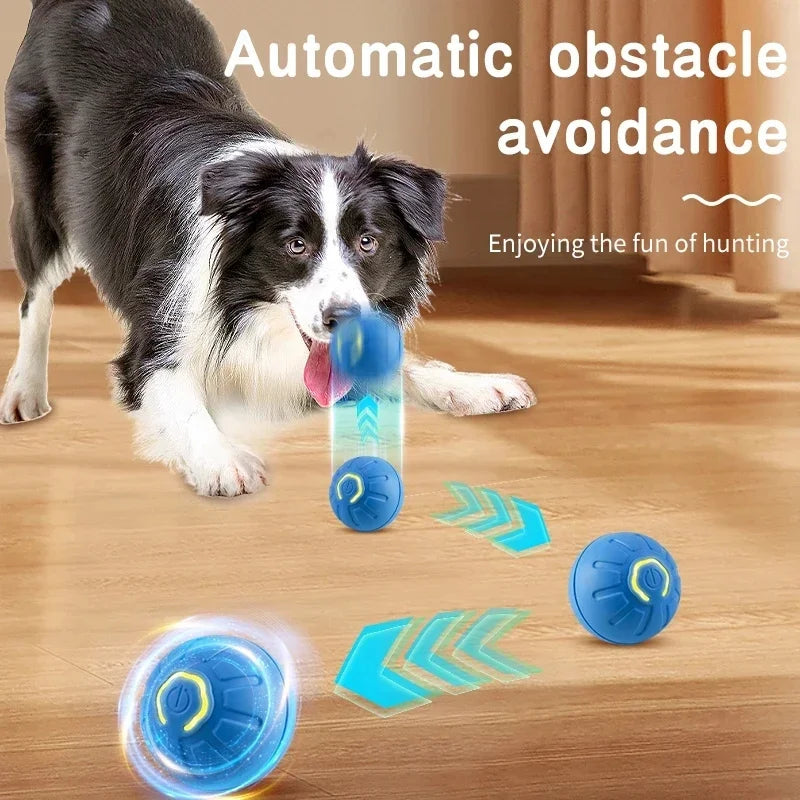 USB Rechargeable Smart Pet Ball – Automatic Interactive Dog & Cat Toy
