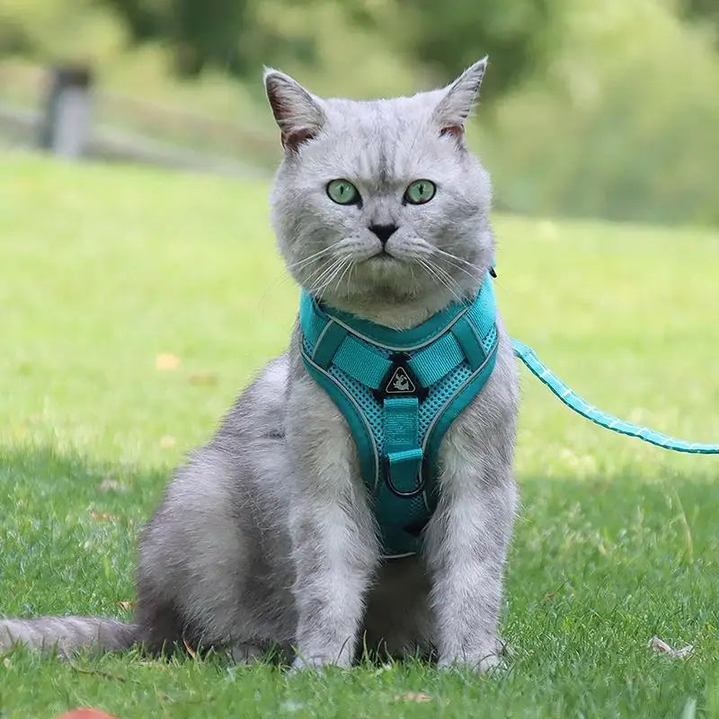 No Pull Dog & Cat Harness and Leash Set – Adjustable Reflective Vest for Small Pets, Secure Chest Strap for Walking & Training