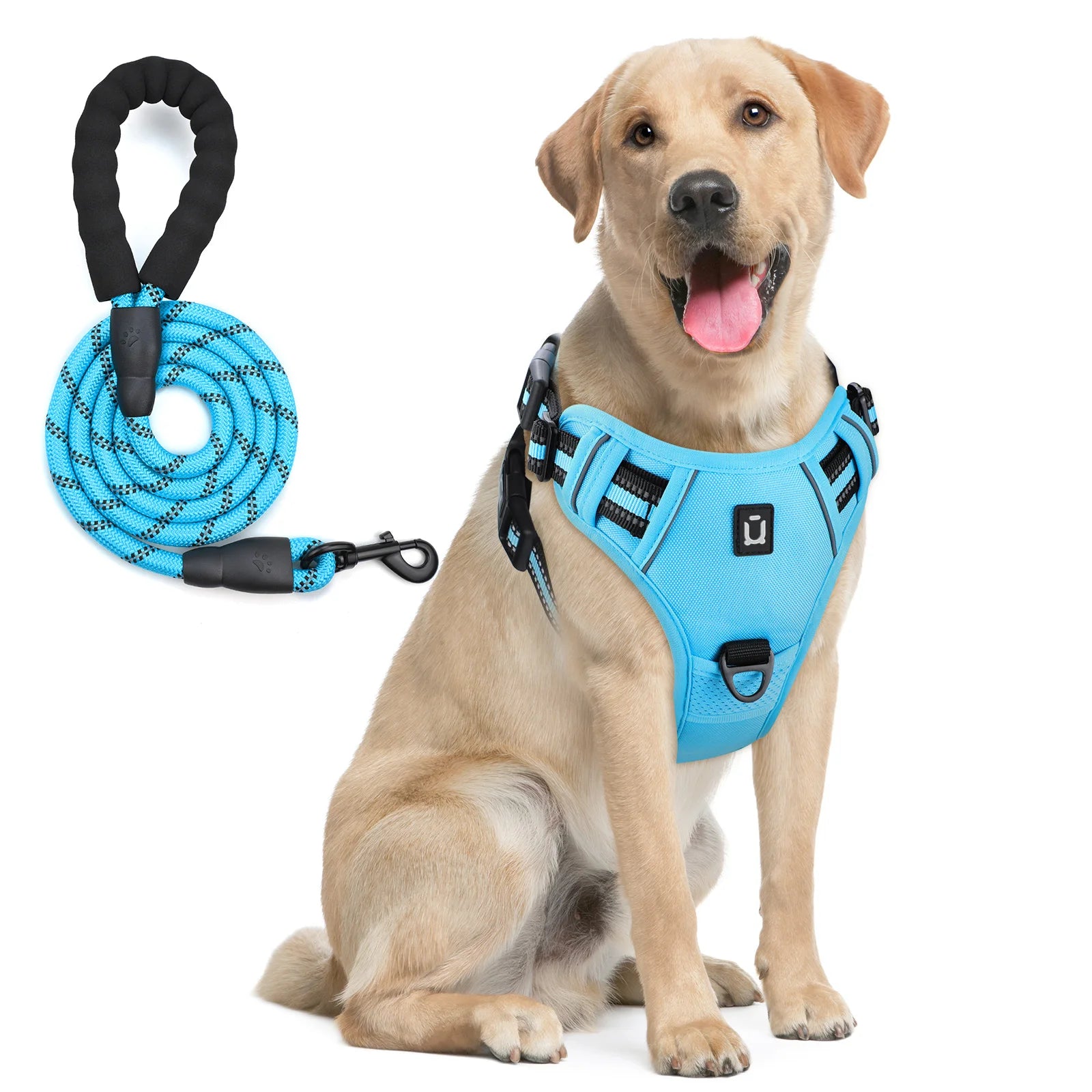 Escape Proof No Pull Dog Harness and Leash Set – Reflective, Adjustable, Soft Padded Vest with 5ft Leash for Small to Large Dogs