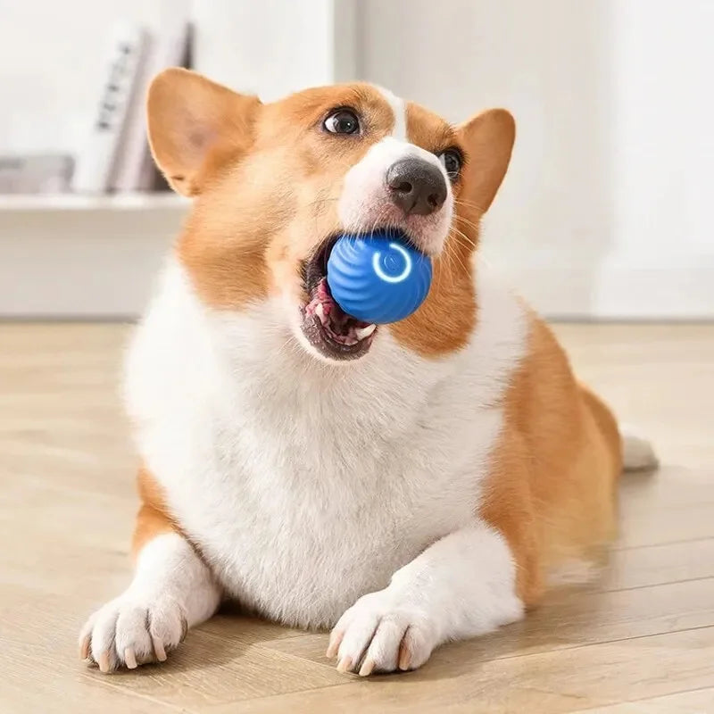 USB Rechargeable Smart Pet Ball – Automatic Interactive Dog & Cat Toy