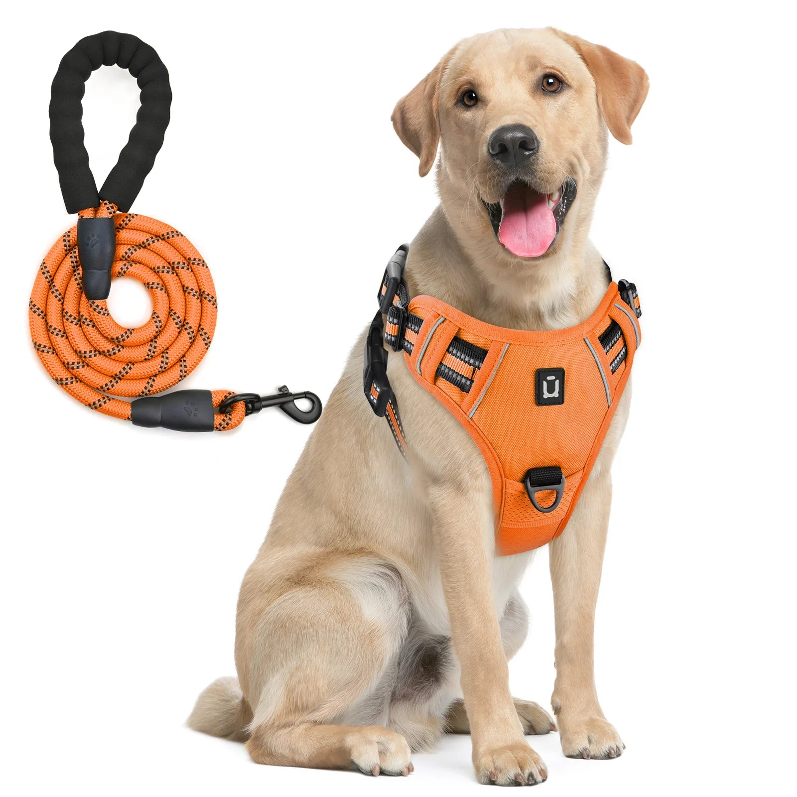 Escape Proof No Pull Dog Harness and Leash Set – Reflective, Adjustable, Soft Padded Vest with 5ft Leash for Small to Large Dogs