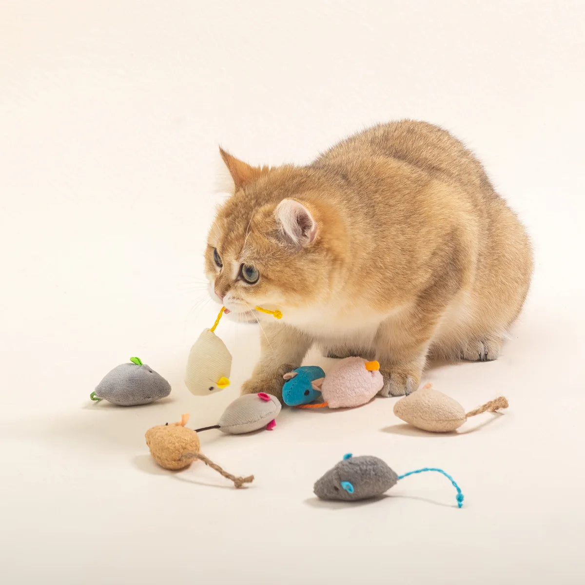 3-200 Pcs Rattle Cat Mouse Toys Also Prefilled Catnip Faux Fur Cat Toys Interactive Cat Game Catnip Toys for Cats Pet Products