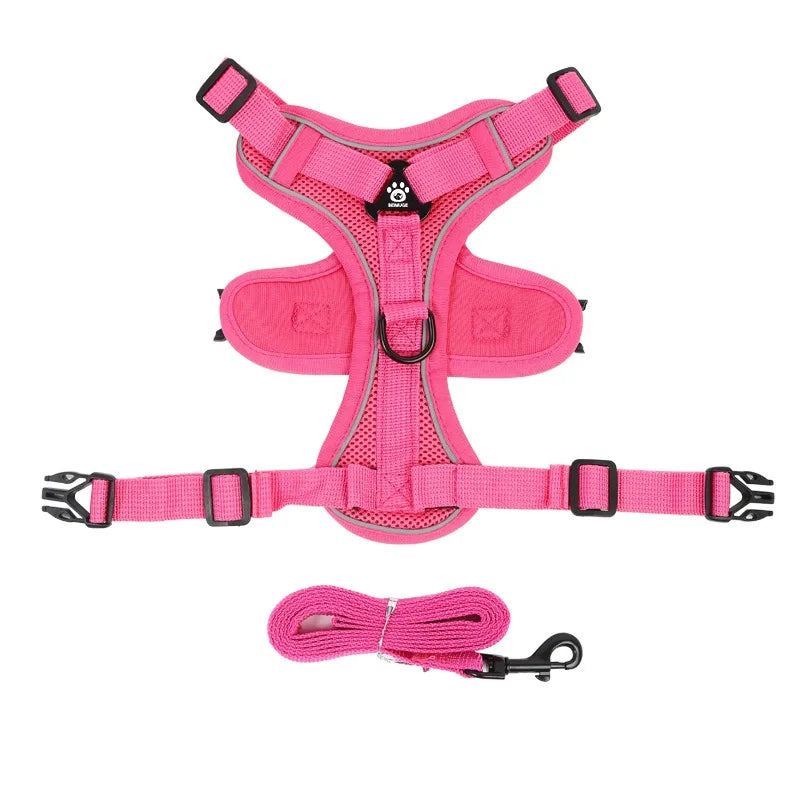 No Pull Dog & Cat Harness and Leash Set – Adjustable Reflective Vest for Small Pets, Secure Chest Strap for Walking & Training
