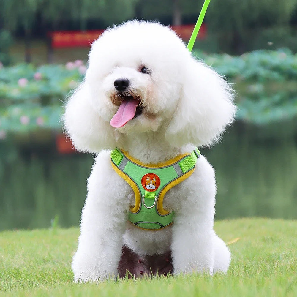 Adjustable Dog Harness and Leash Set – Reflective Vest for Small & Medium Dogs, Outdoor Puppy Chest Strap for Walking