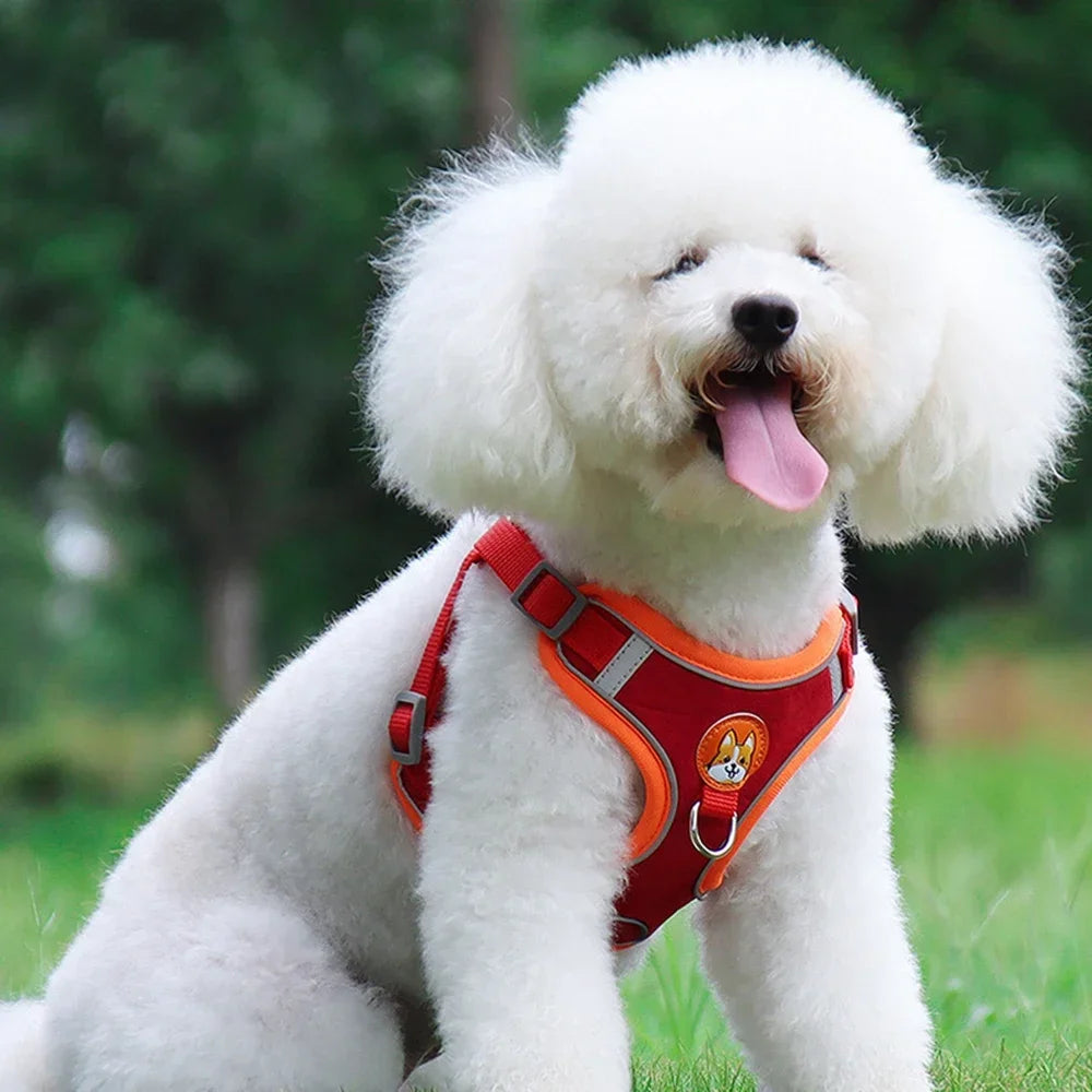 Adjustable Dog Harness and Leash Set – Reflective Vest for Small & Medium Dogs, Outdoor Puppy Chest Strap for Walking