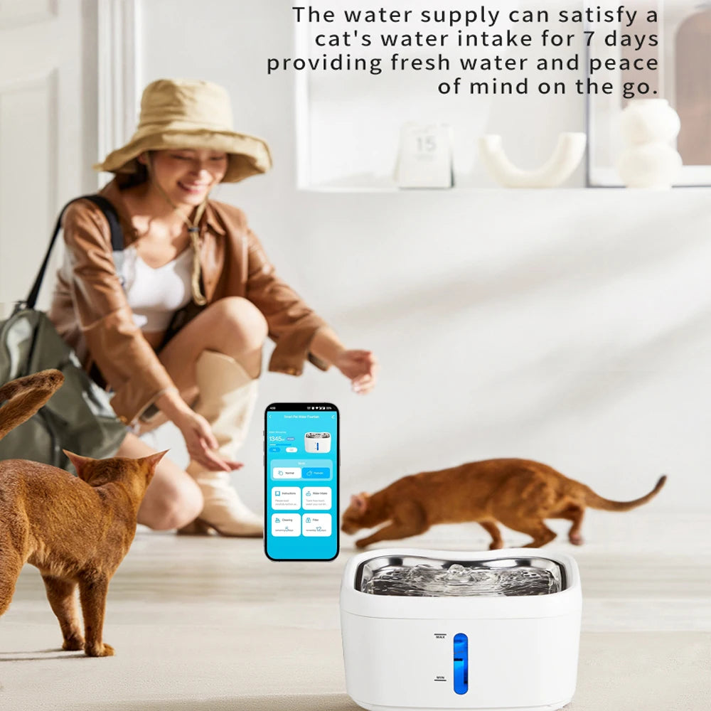 Cat water fountain with app PetWhiz
