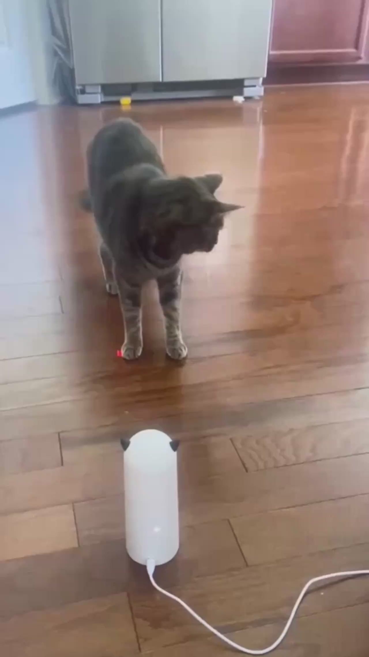 Smart Automatic Cat Laser Toy – Hands-Free Playtime